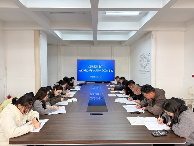 夯实内控根基 强化执行效能_看图王.jpg