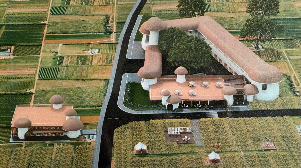 深化村企联建 共谋文旅发展_看图王.jpg